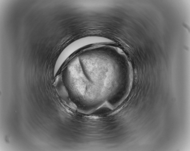 X0000096460475200802071838
