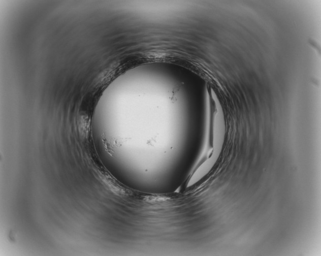 X0000096460476200802071838