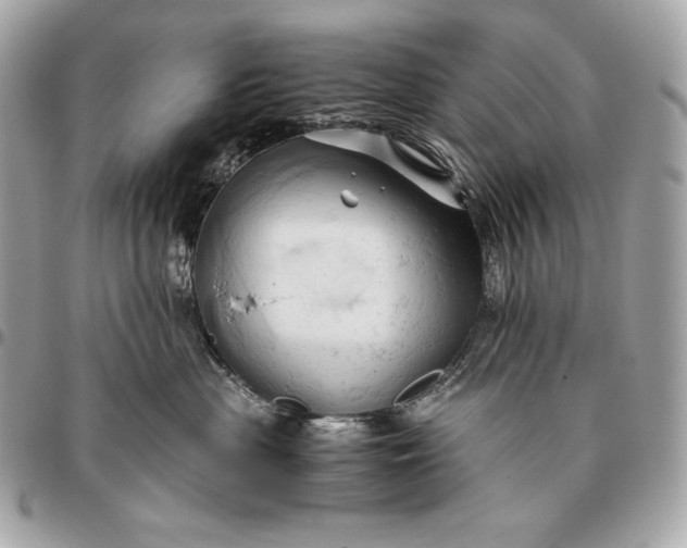 X0000096460477200802071838