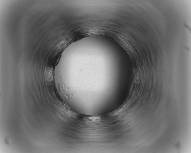 X0000096460478200802071838