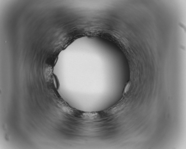 X0000096460480200802071838