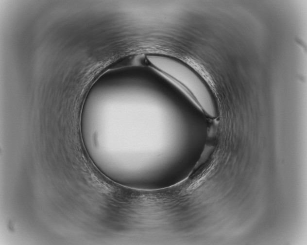 X0000096460481200802071837