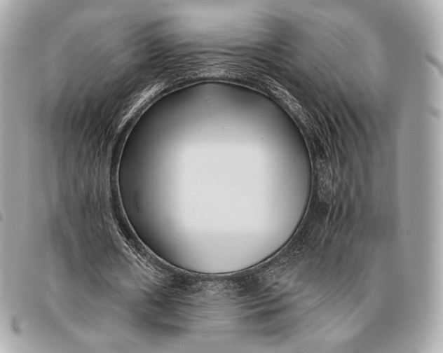 X0000096460482200802071837