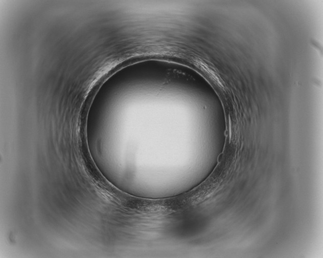X0000096460483200802071837