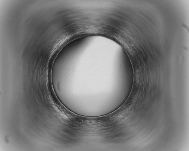 X0000096460486200802071837