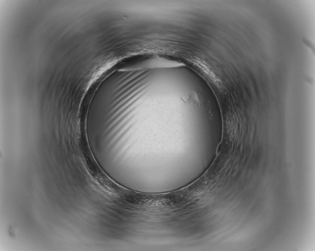 X0000096460488200802071837
