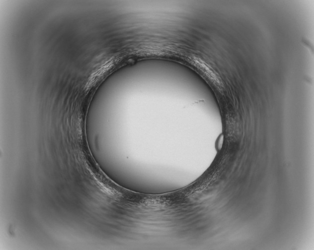 X0000096460489200802071837