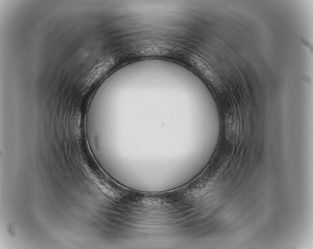 X0000096460490200802071837