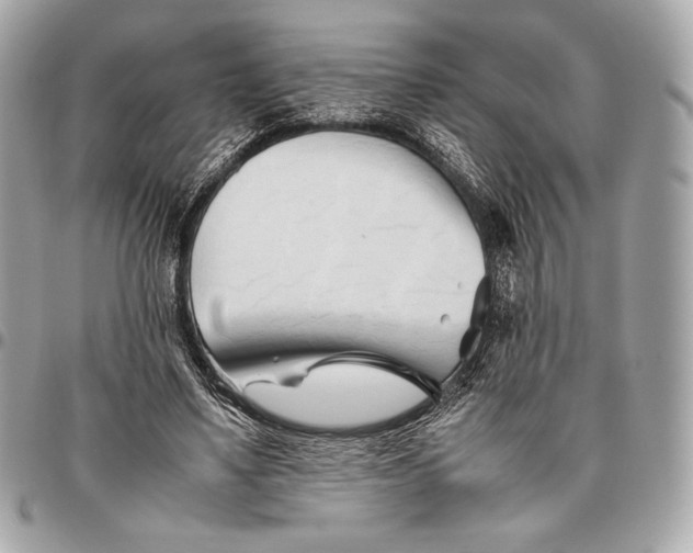 X0000096460491200802071837