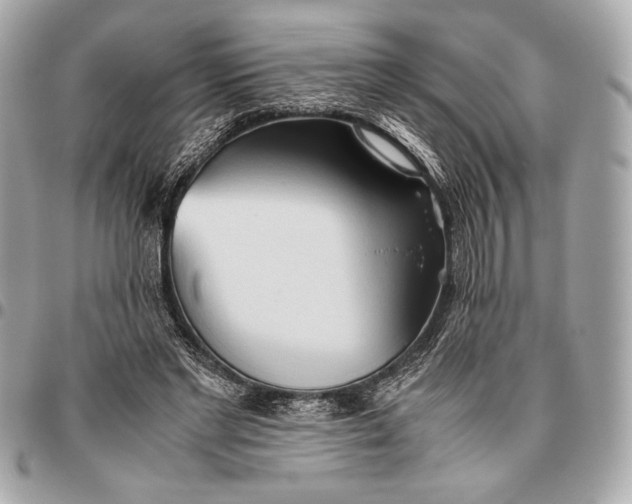 X0000096460493200802071837