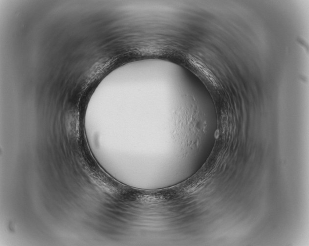 X0000096460494200802071837