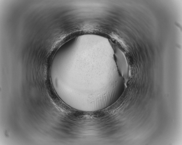 X0000096460496200802071837