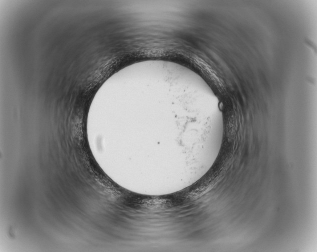 X0000096460497200802071837