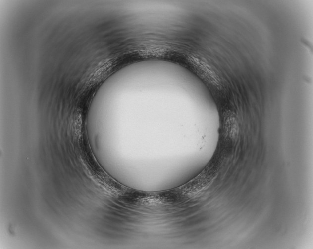 X0000096460498200802071837