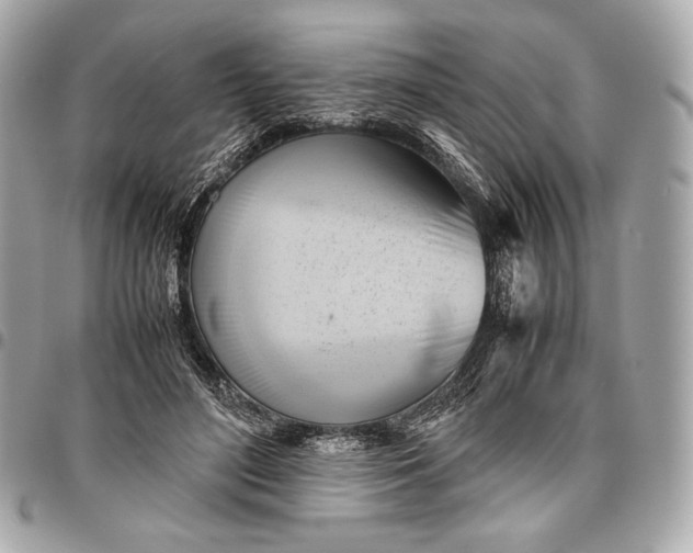 X0000096460500200802071837
