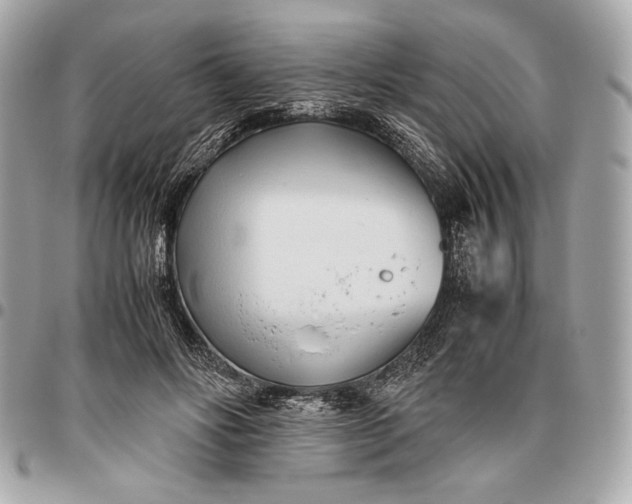 X0000096460502200802071837