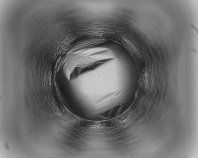 X0000096460504200802071837