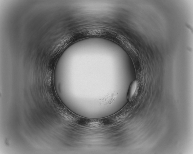 X0000096460505200802071837