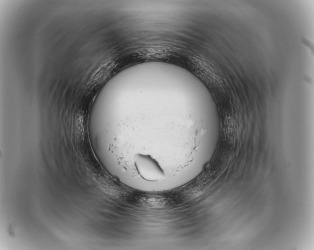 X0000096460506200802071837