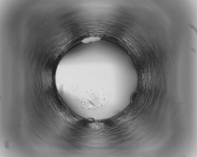 X0000096460508200802071837