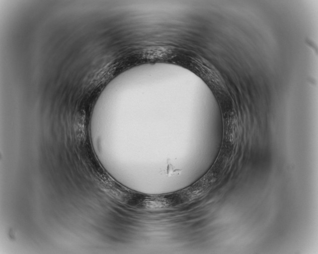 X0000096460510200802071837