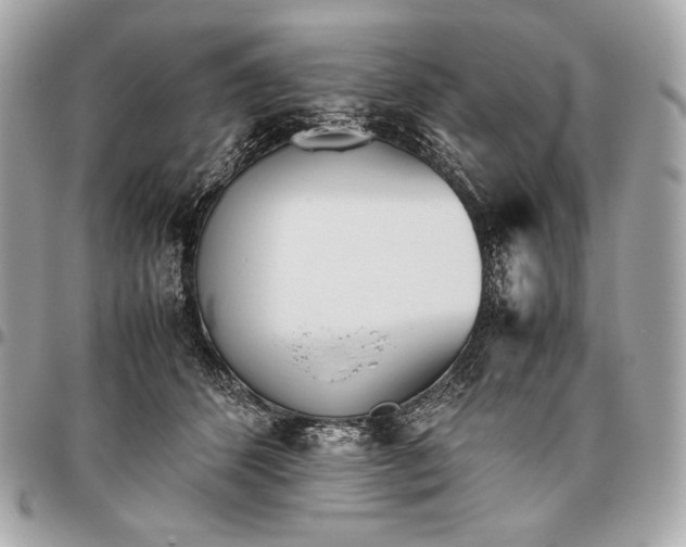 X0000096460512200802071837