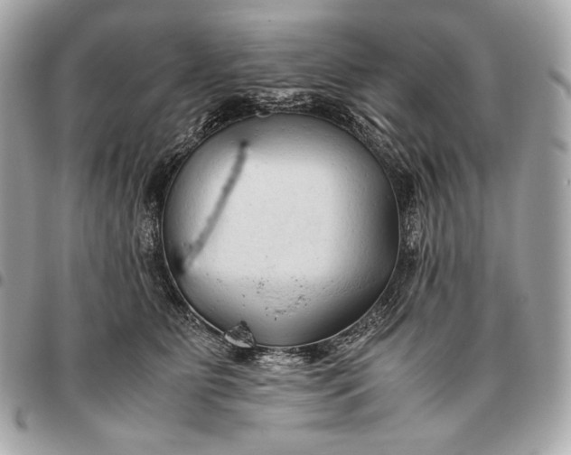 X0000096460515200802071837
