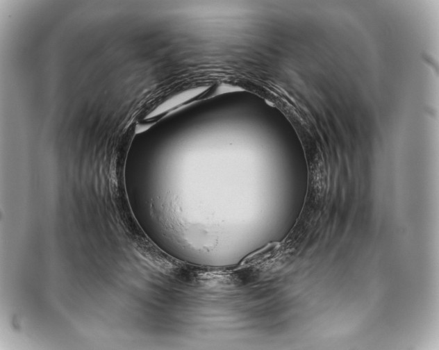X0000096460516200802071837