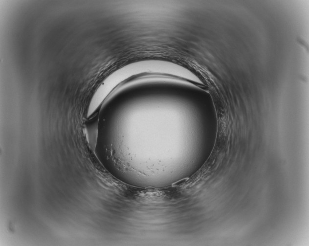 X0000096460517200802071837