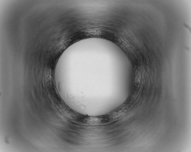 X0000096460518200802071837