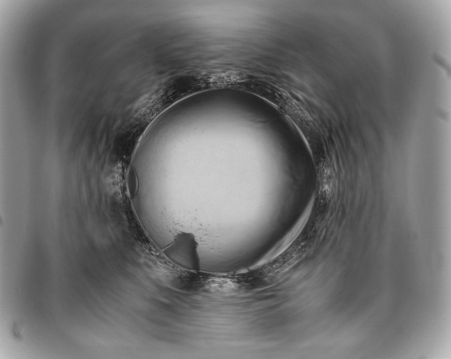 X0000096460519200802071837