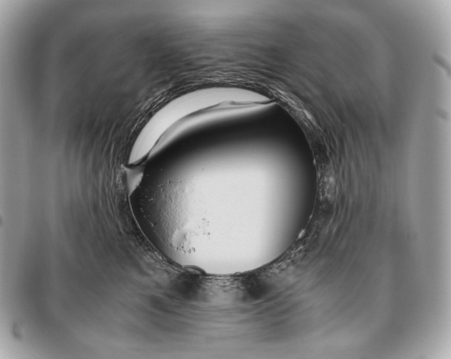 X0000096460521200802071837