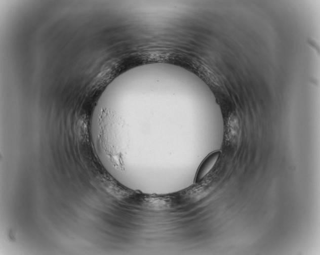 X0000096460522200802071837