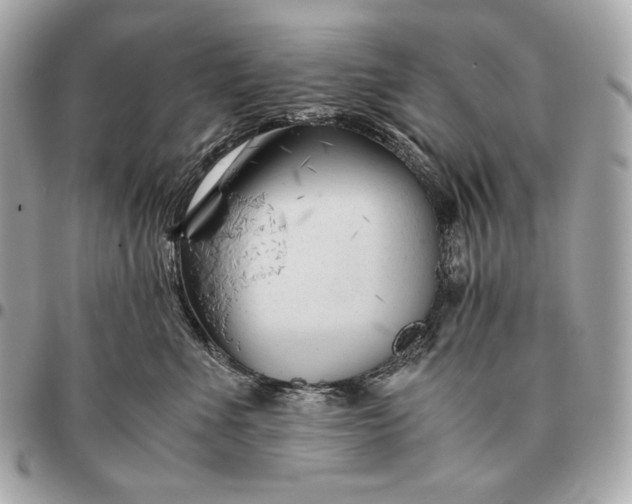 X0000096460523200802071836