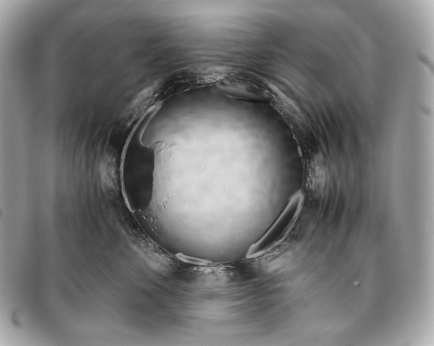 X0000096460524200802071836