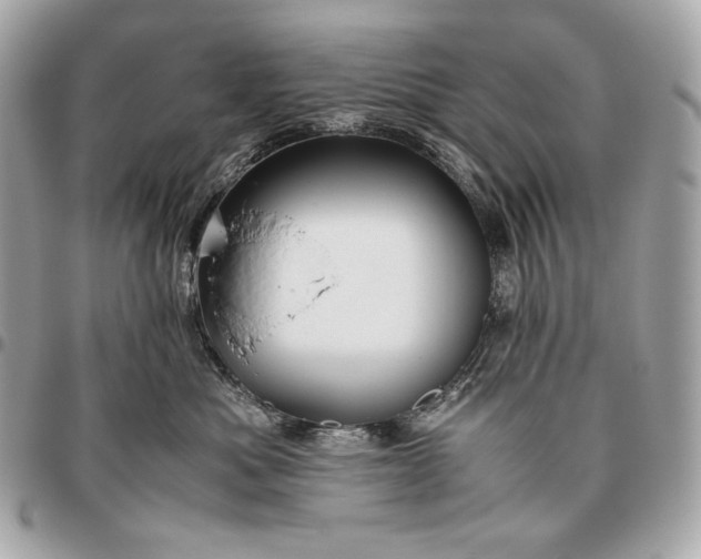 X0000096460525200802071836