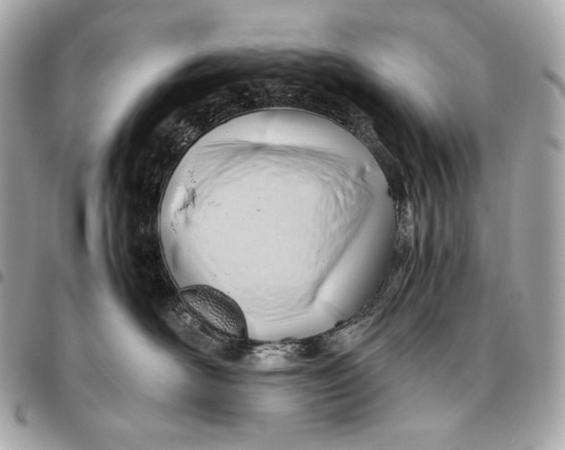 X0000096460526200802071836