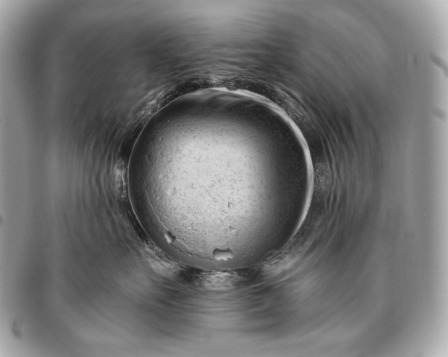 X0000096460527200802071836