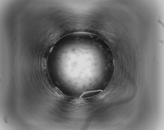 X0000096460528200802071836