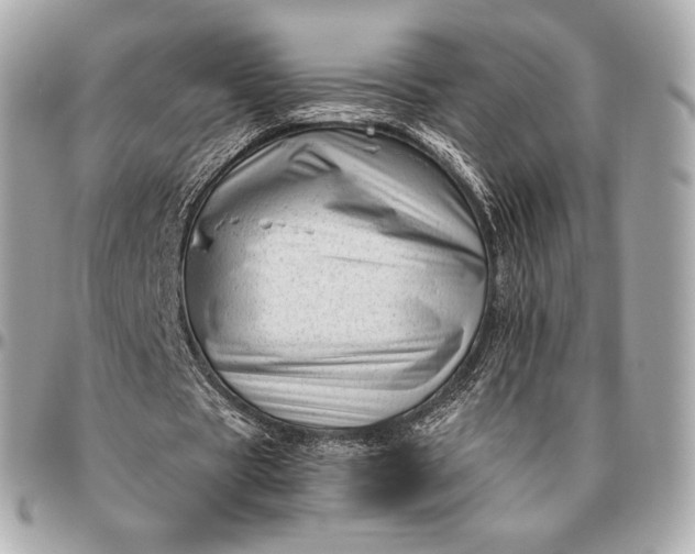 X0000096460529200802071836