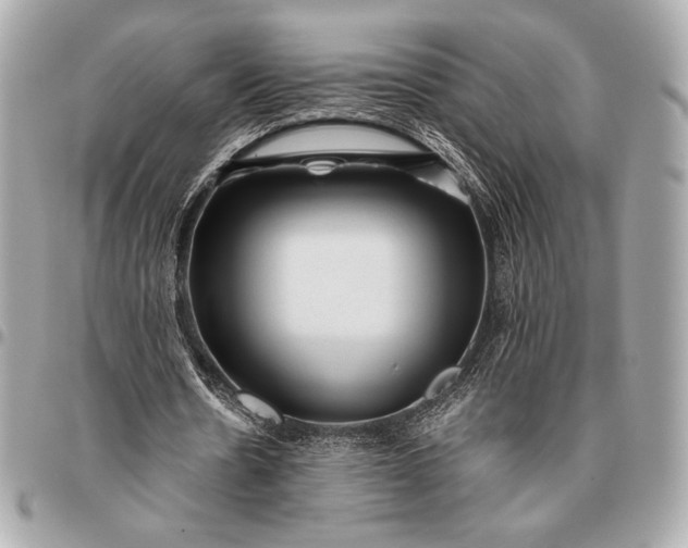 X0000096460530200802071836