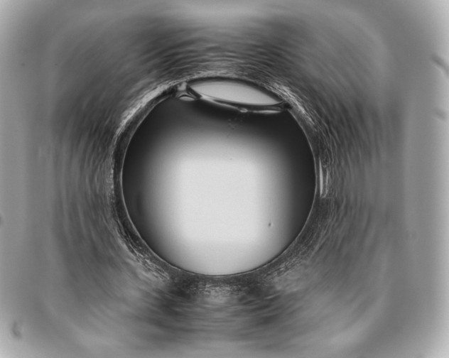 X0000096460531200802071836
