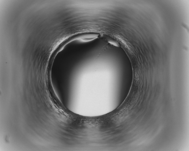 X0000096460532200802071836