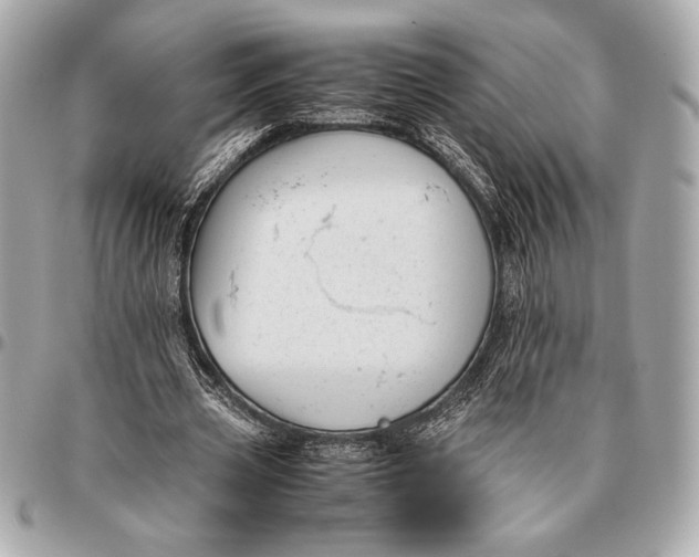 X0000096460533200802071836