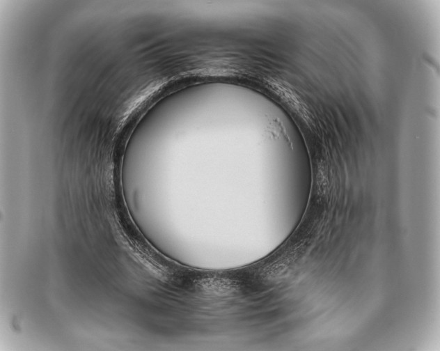 X0000096460535200802071836