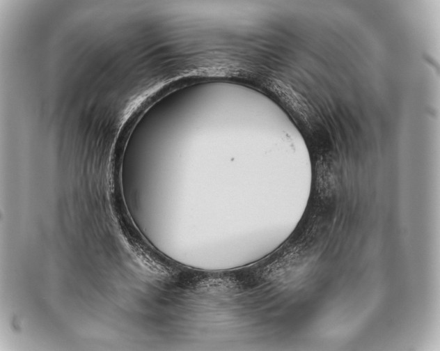 X0000096460536200802071836