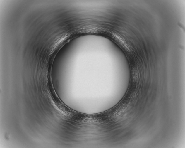 X0000096460538200802071836