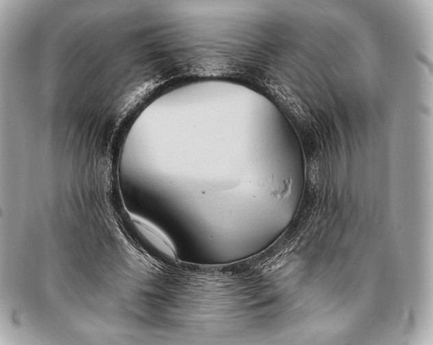 X0000096460540200802071836
