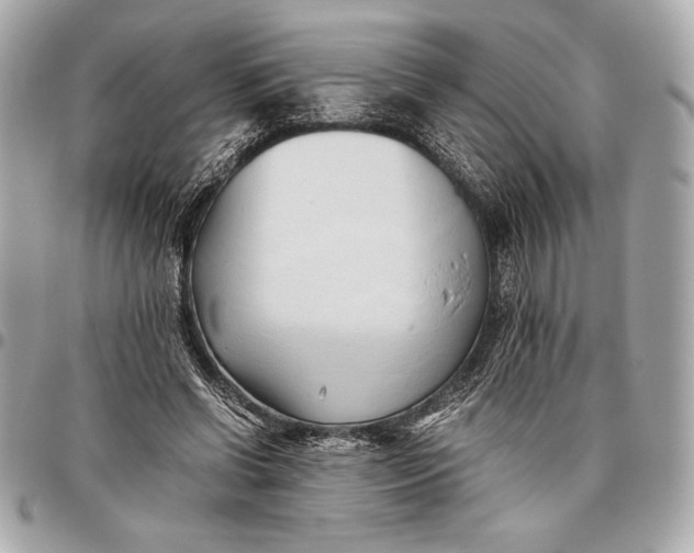 X0000096460542200802071836