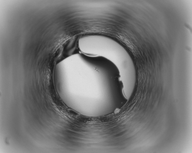 X0000096460544200802071836